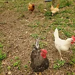 Chez Thi-tot & Christian