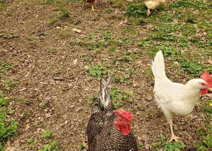 Chez Thi-tot & Christian